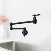 360-Degree Wall Mounted Pot Filler kitchen faucet with Dual Swivel in Matte Black